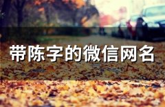 带陈字的微信网名(66个)