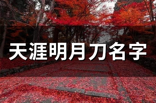 天涯明月刀名字(精选130个)(天涯明月刀名字古风男)