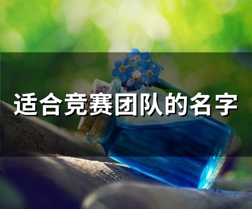 适合竞赛团队的名字(精选78个) 适合竞赛团队的名字(精选78个)