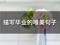 描写毕业的唯美句子(132句)