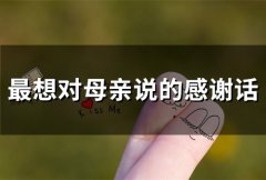 最想对母亲说的感谢话(精选80句)