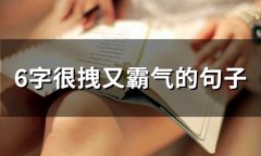 6字很拽又霸气的句子(41句)