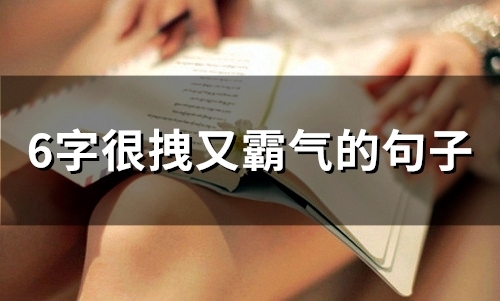 6字很拽又霸气的句子(41句) 6字很拽又霸气的句子(41句)