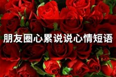 朋友圈心累说说心情短语(精选66句)