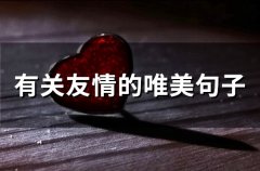 有关友情的唯美句子(67句)