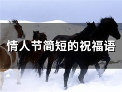情人节简短的祝福语(71句)