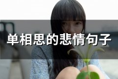 单相思的悲情句子(精选73句)