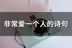 非常爱一个人的诗句(精选34句)