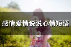 感情爱情说说心情短语(79句)