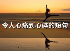 令人心痛到心碎的短句(65句)