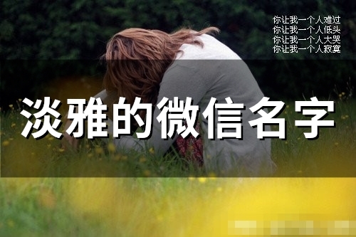 淡雅的微信名字(145个)(淡雅的微信名字两个字)