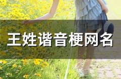 王姓谐音梗网名(34个)