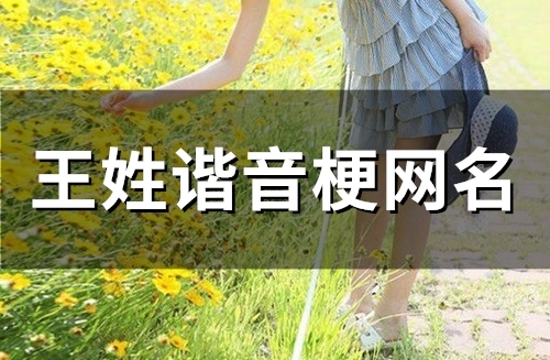 王姓谐音梗网名(34个) 王姓谐音梗网名(34个)