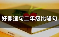 好像造句二年级比喻句(精选75句)