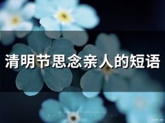 清明节思念亲人的短语(精选50句)