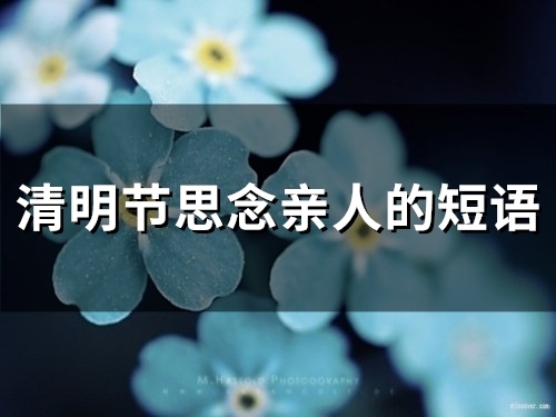 清明节思念亲人的短语(精选50句)