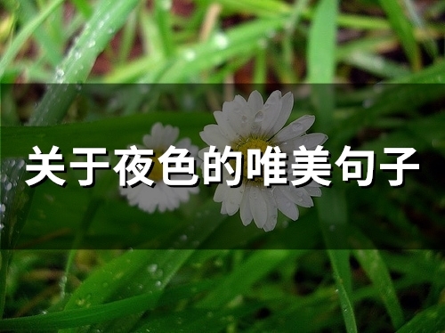 关于夜色的唯美句子(66句) 关于夜色的唯美诗句