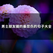 男士朋友圈的最悲伤的句子大全(65句)