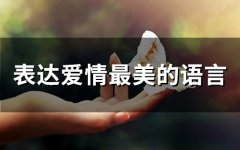 表达爱情最美的语言(精选75句)