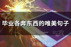 毕业各奔东西的唯美句子(88句)