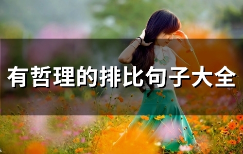 有哲理的排比句子大全(精选58句) 哲理的排比句子