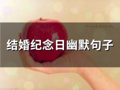 结婚纪念日幽默句子(精选49句)