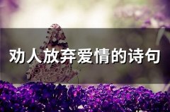 劝人放弃爱情的诗句(精选35句)