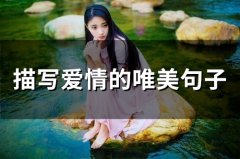 描写爱情的唯美句子(精选66句)