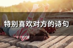 特别喜欢对方的诗句(精选34句)