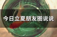 今日立夏朋友圈说说(53句)