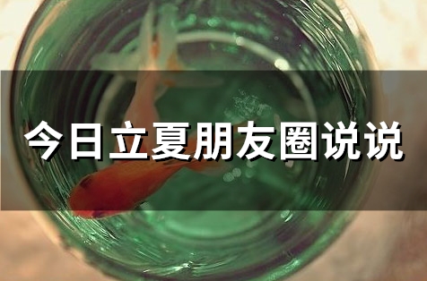 今日立夏朋友圈说说(53句)