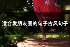 适合发朋友圈的句子古风句子(65句)