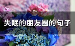 失眠的朋友圈的句子(精选50句)