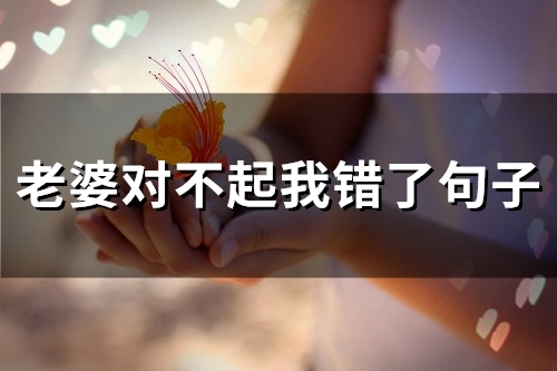 老婆对不起我错了句子(66句)(老婆对不起我错了原谅我句子)