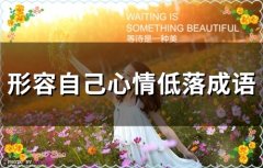 形容自己心情低落成语(80句)