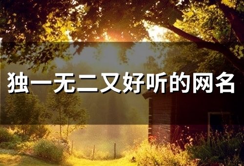 独一无二又好听的网名(精选202个) 独一无二又好听的网名英文
