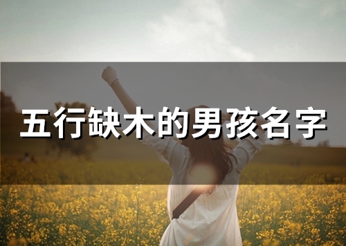 五行缺木的男孩名字(精选34个) 五行缺木的男孩名字(精选34个)