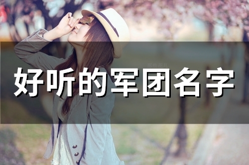 好听的军团名字(135个)(好听的军团名字大全)