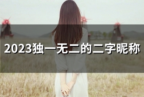 2023独一无二的二字昵称(精选403个)(2023独一无二的抖音名字)