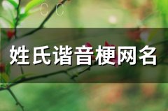 姓氏谐音梗网名(81个)
