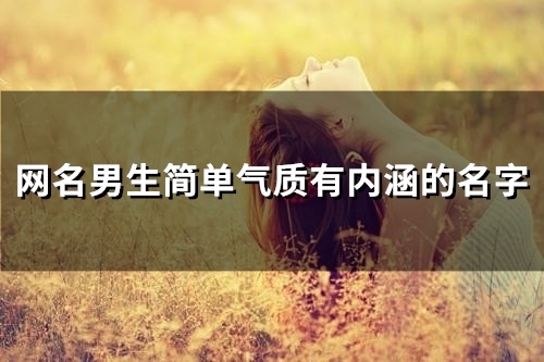 网名男生简单气质有内涵的名字(精选329个)(网名男生简单气质成熟两个字)