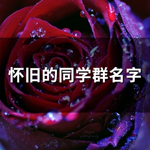 怀旧的同学群名字(198个)(多年同学群名)