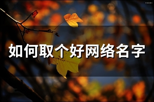 如何取个好网络名字(精选158个)(如何取个好网络名字男)