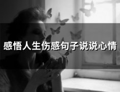 感悟人生伤感句子说说心情(精选62句)