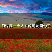 很讨厌一个人发的朋友圈句子(92句)