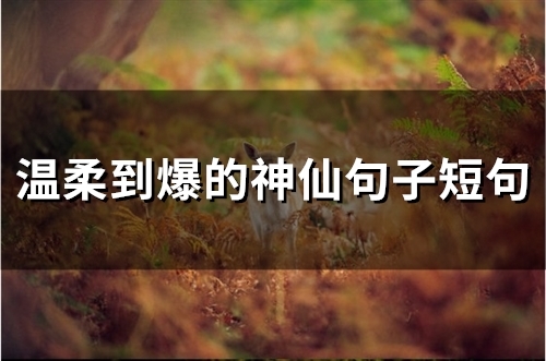 温柔到爆的神仙句子短句(83句)(温柔到爆的神仙句子英文)