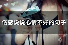 伤感说说心情不好的句子(精选64句)