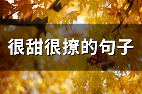 很甜很撩的句子(精选93句)(抖音撩人情话很甜很撩的句子)