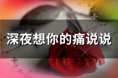 深夜想你的痛说说(21句)