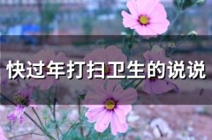 快过年打扫卫生的说说(精选19句)